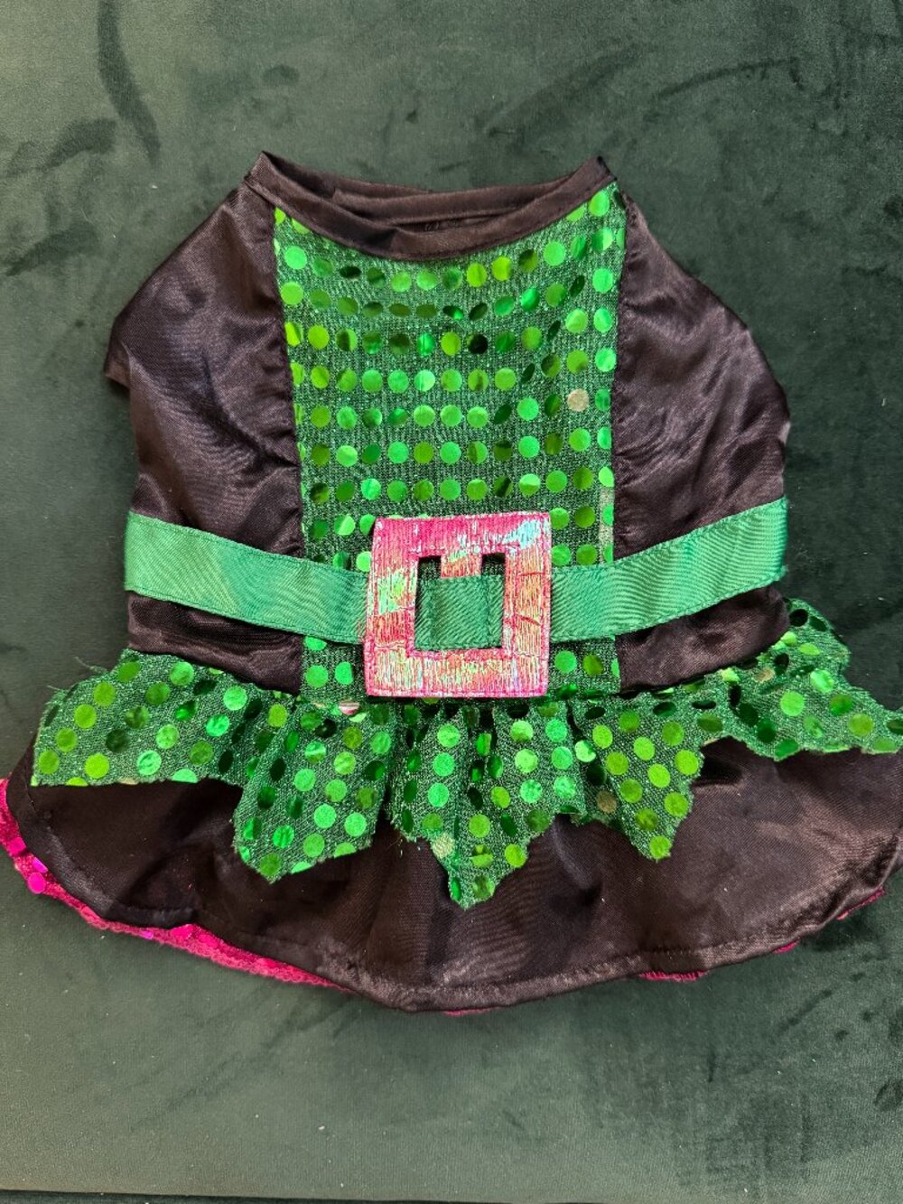 XS Witch or Wizard Pet Costume
